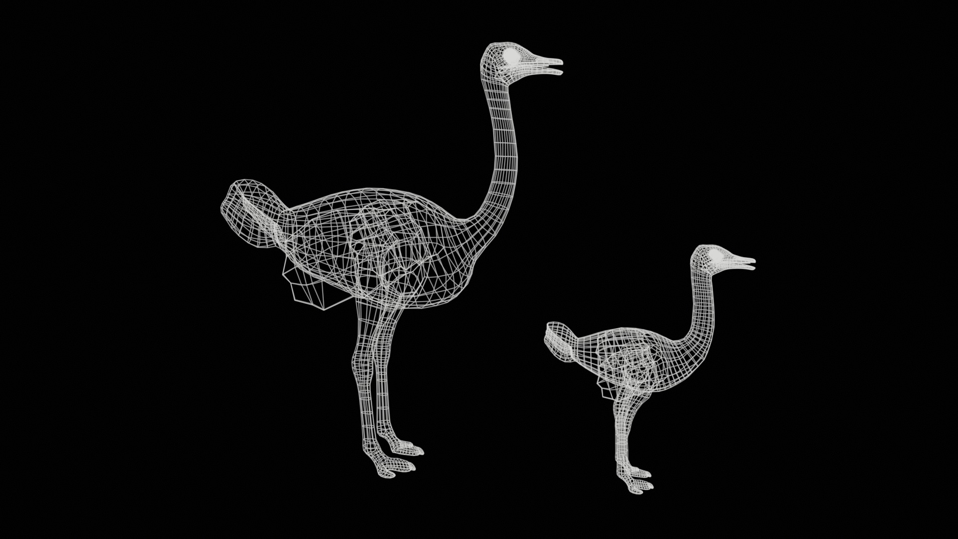adult ostrich and ostrich chick  rig  high-poly  textured  3D model_19