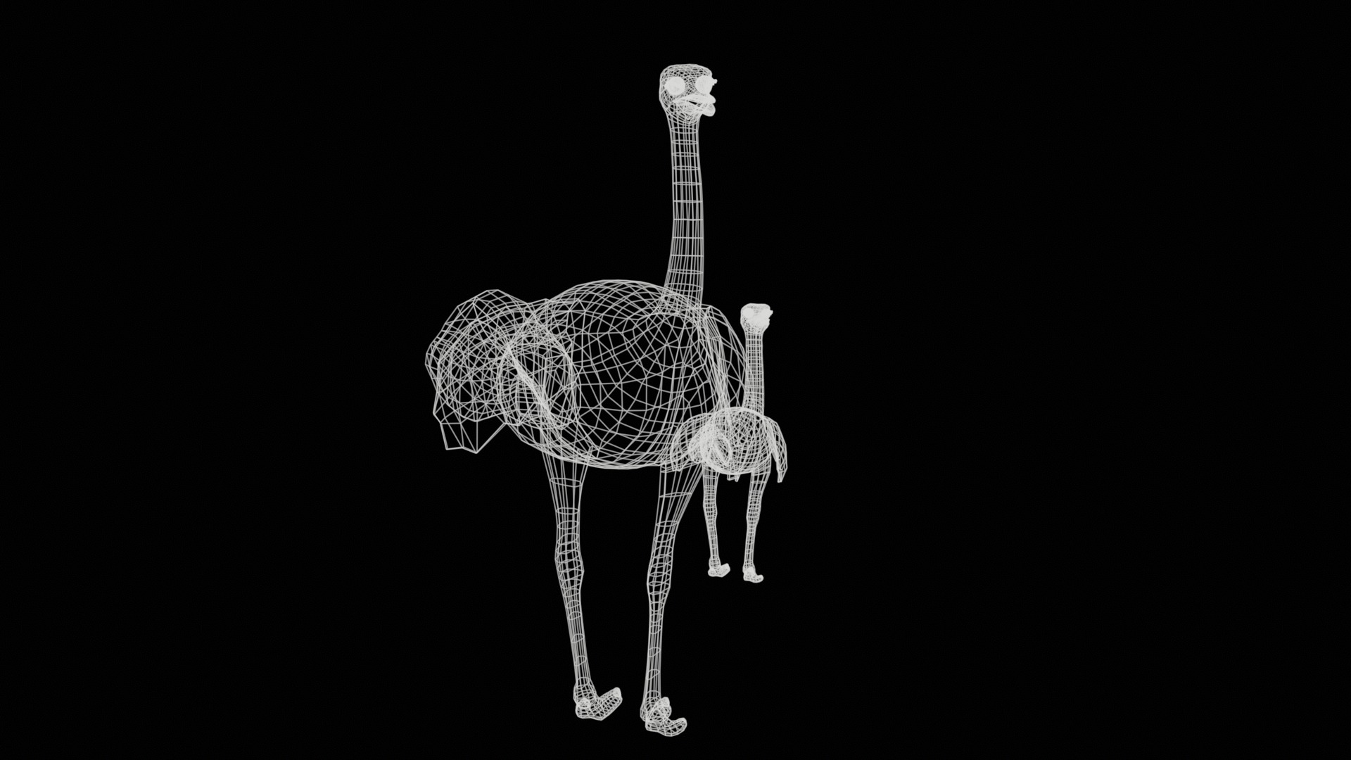adult ostrich and ostrich chick  rig  high-poly  textured  3D model_18