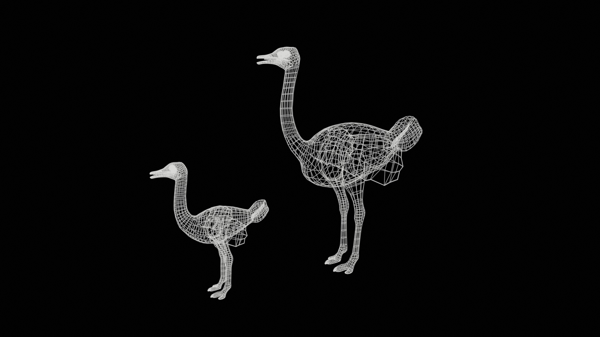 adult ostrich and ostrich chick  rig  high-poly  textured  3D model_15