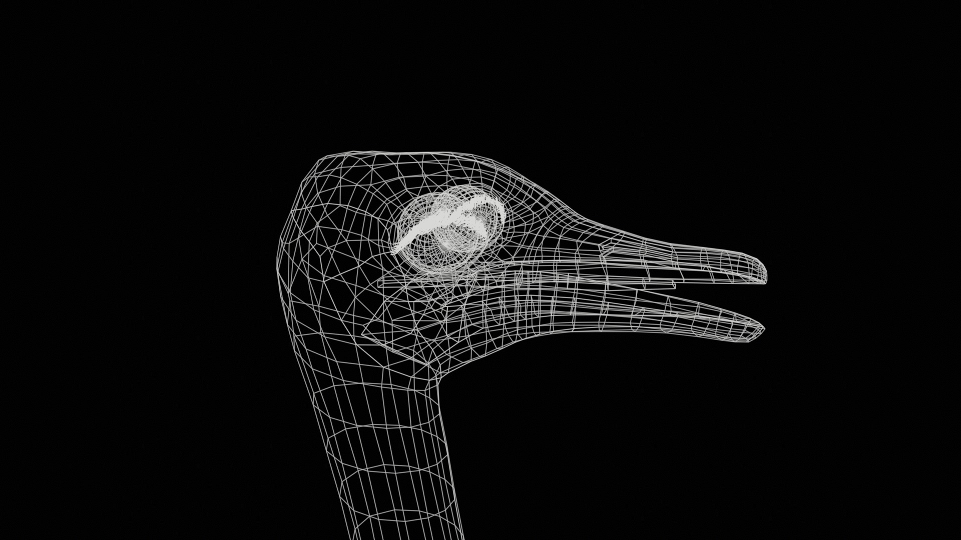 adult ostrich and ostrich chick  rig  high-poly  textured  3D model_20