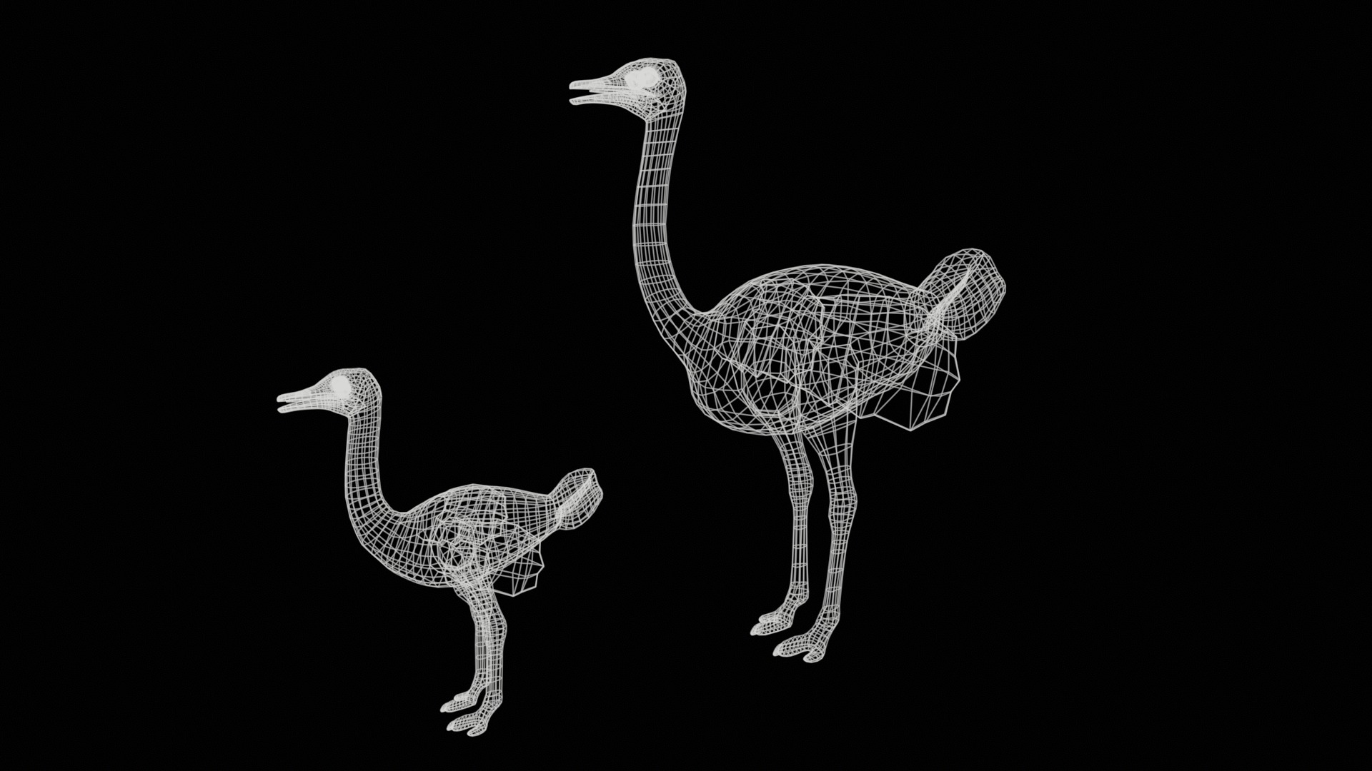 adult ostrich and ostrich chick  rig  high-poly  textured  3D model_16
