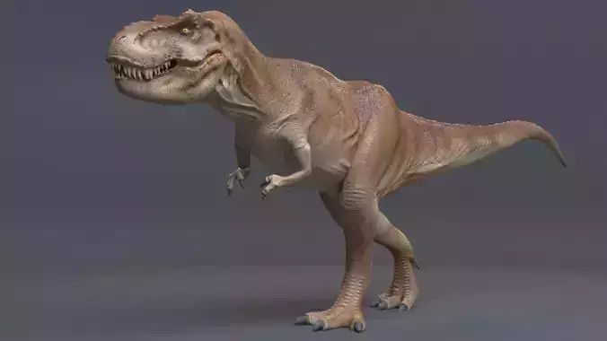 Trex 3d 3D model