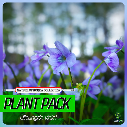 Korean Endemic Species Plant - 4 Ullengdo Violet Flower Low-poly 3D model