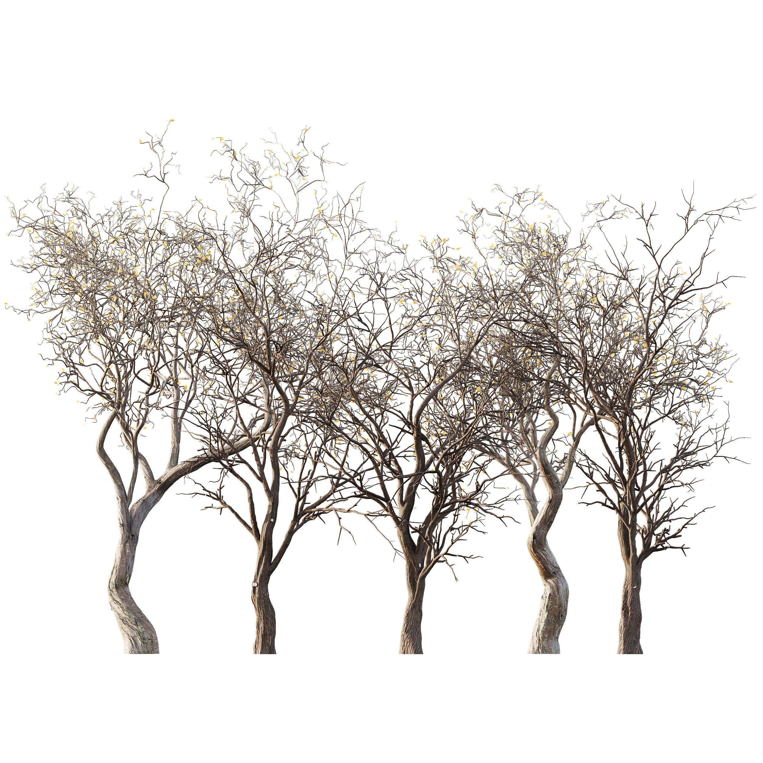 AV Winter Dry Tree 3D model_4
