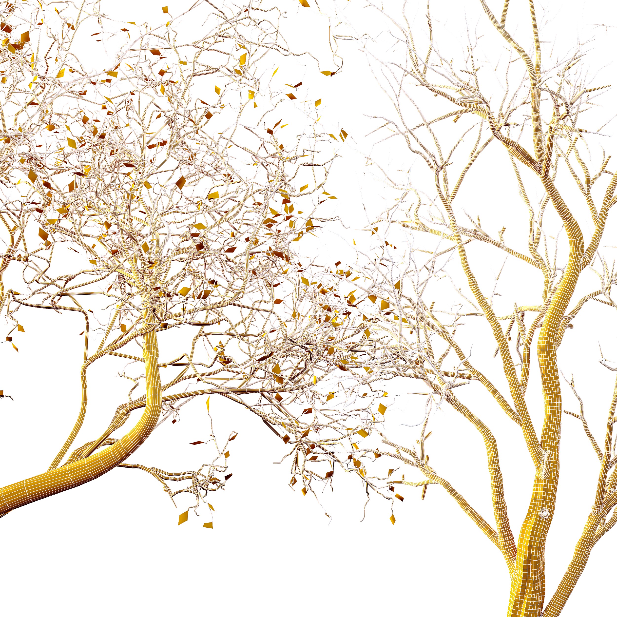 AV Winter Dry Tree 3D model_5