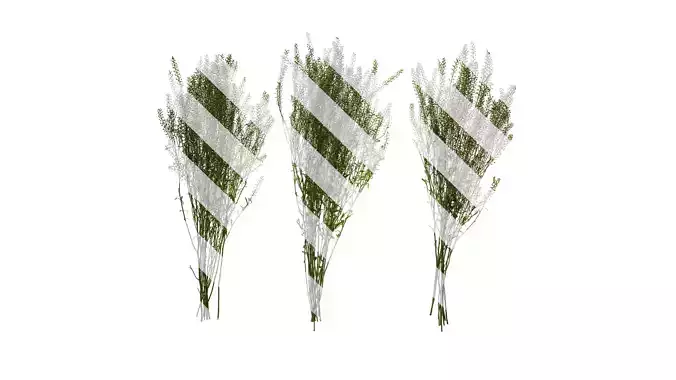 Anydrafts Thlaspi green bell Atlas 02