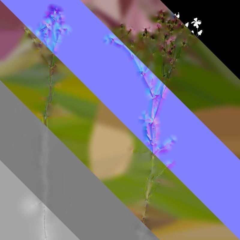 Anydrafts Vaccaria hispanica Atlas 02 Texture_8