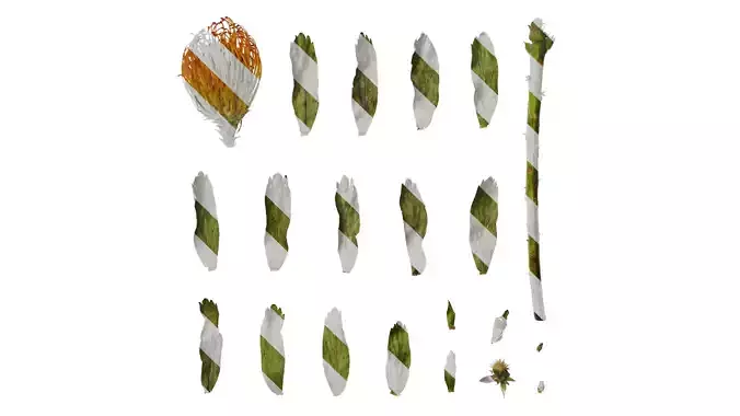 Anydrafts Leucospermum cordifolium Atlas 04