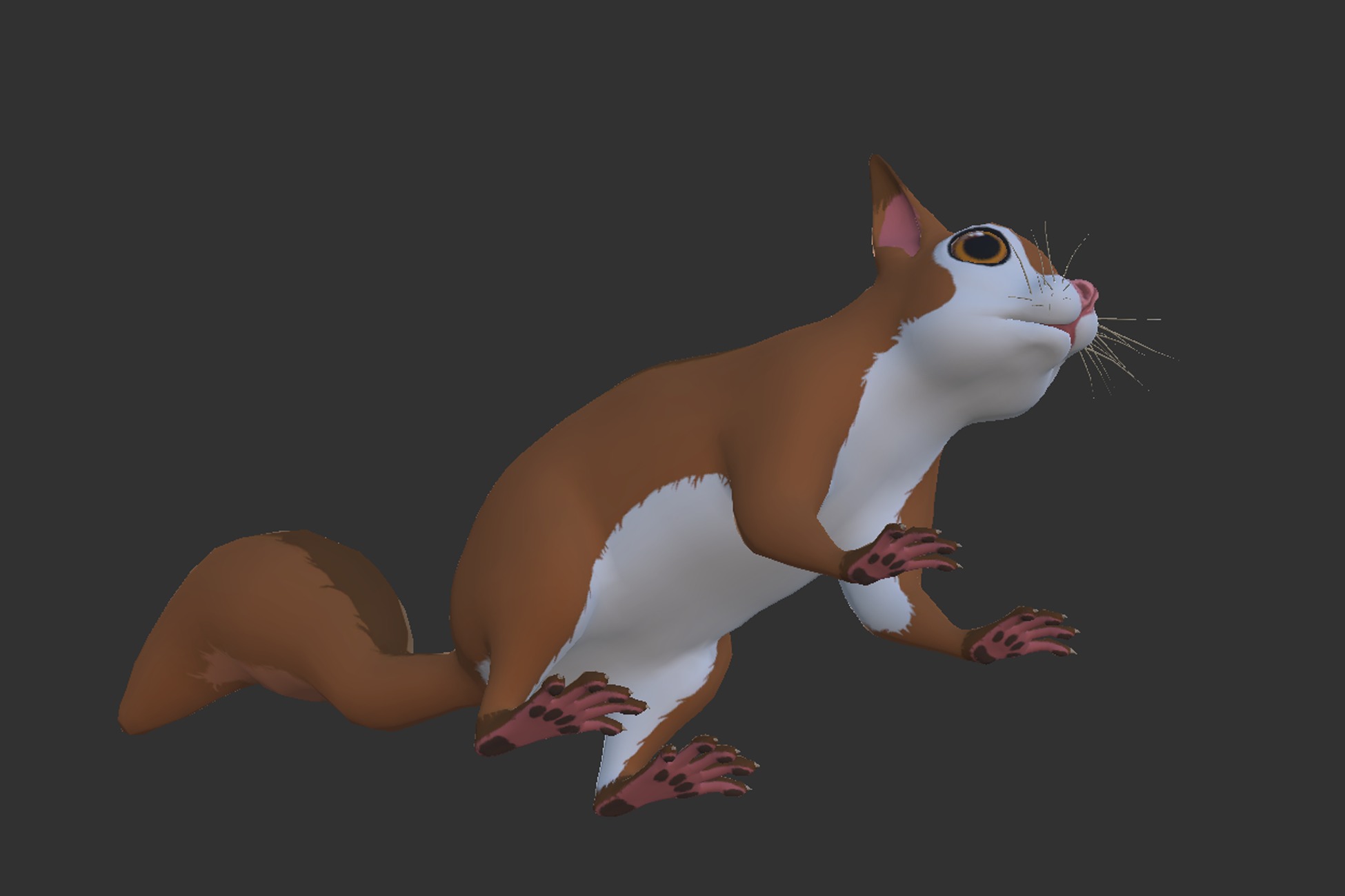 Cartoon Squirrel Low-poly 3D model_5