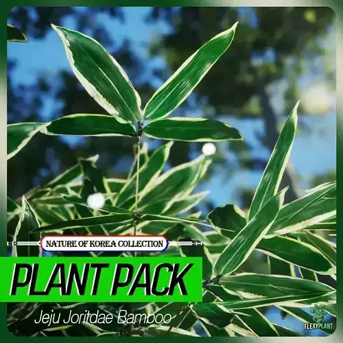 Korean Endemic Species Plant - 4 Jeju Joritdae Bamboo Tree Low-poly 3D model