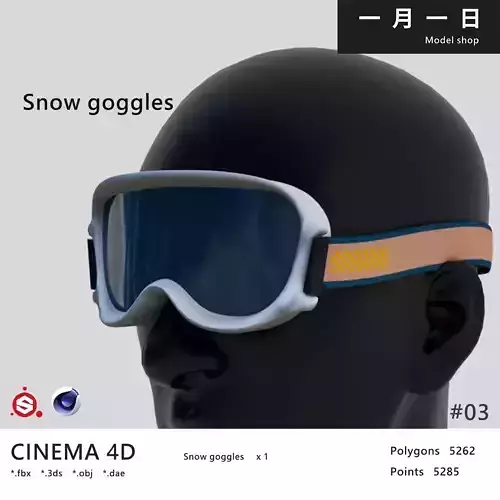Snow goggles