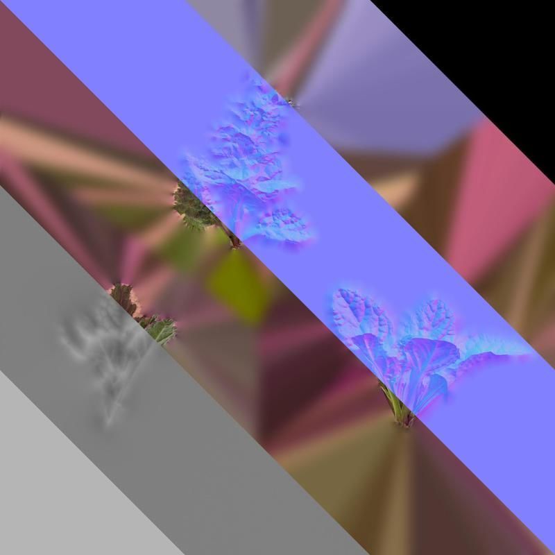 Anydrafts Ajuga reptans burgundy glow Atlas 01 Texture_8