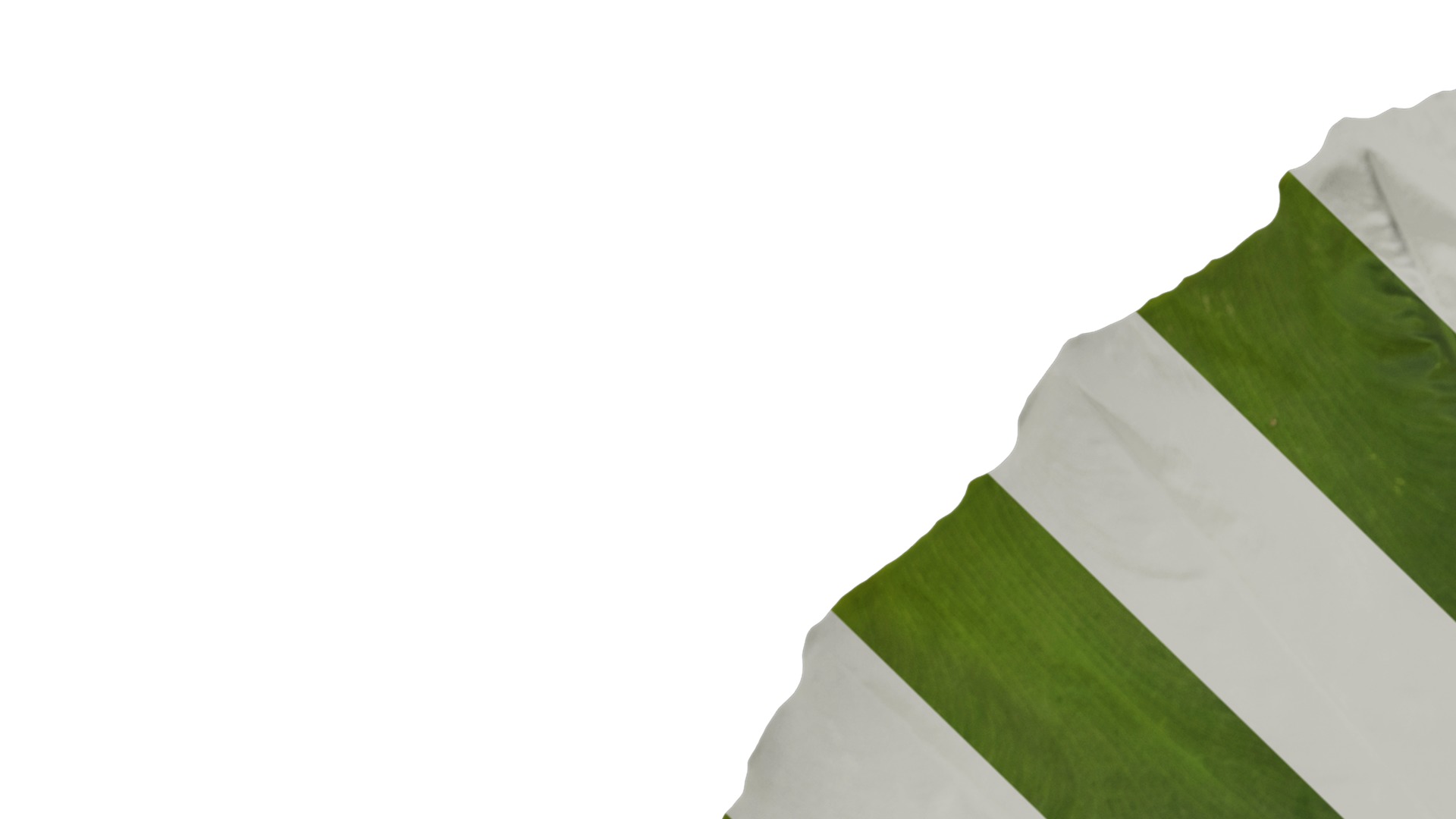 Anydrafts Colocasia gigantea Leaf 07 F Texture_1