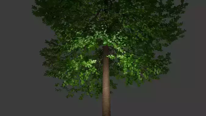 3D TREE 3D model