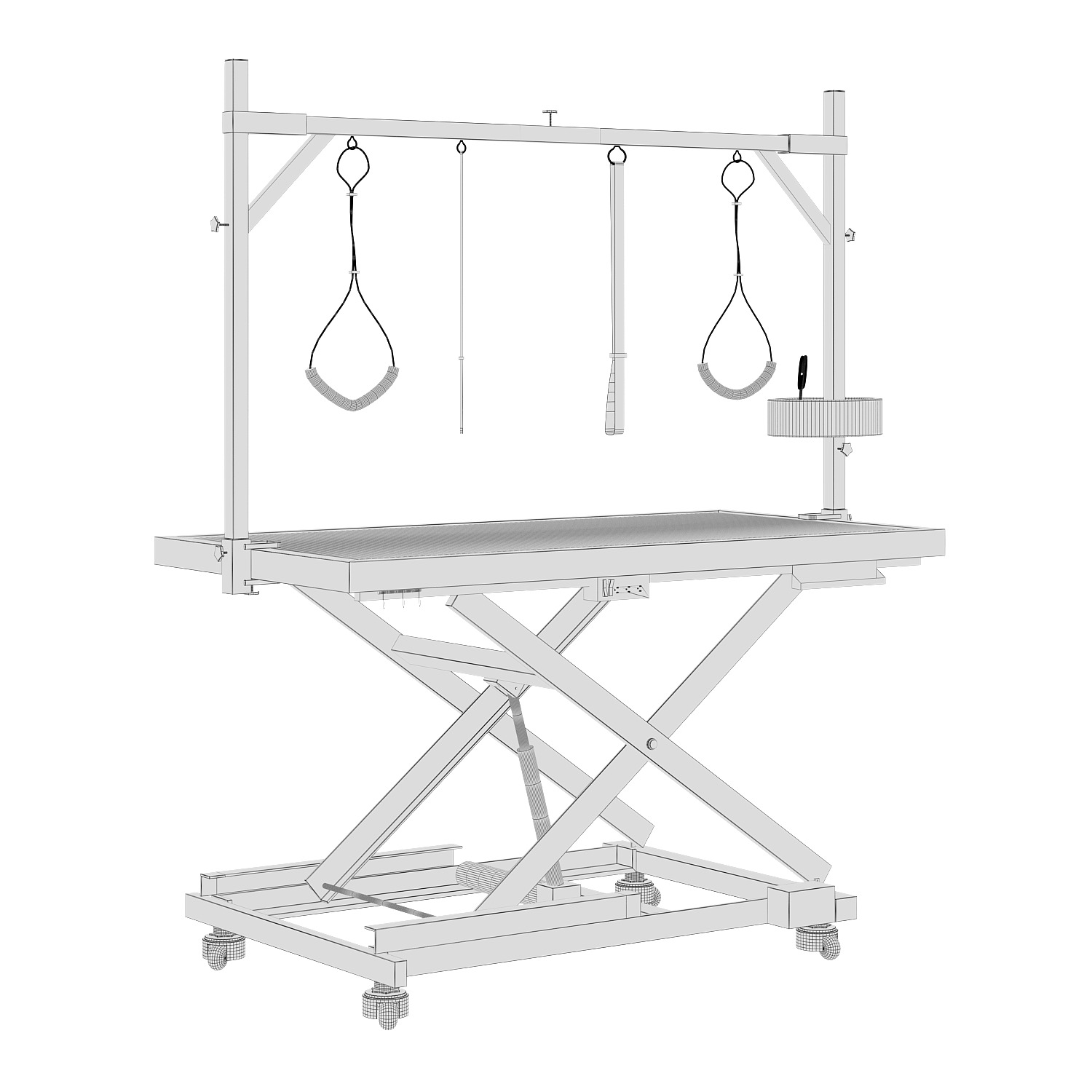 Electric Grooming Table by CO-Z 3D model_3