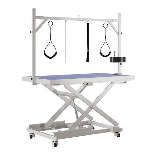 Electric Grooming Table by CO-Z 3D model