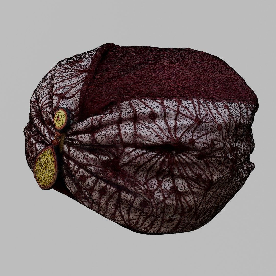 Turban 1717 Amamah 3D Scanned Model Low-poly 3D model_9