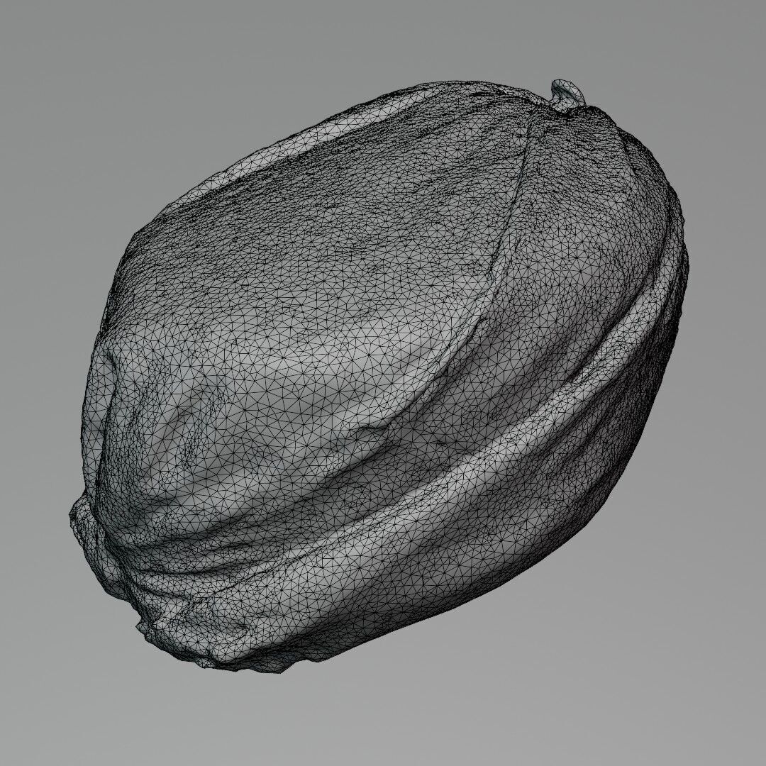 Turban 1717 Amamah 3D Scanned Model Low-poly 3D model_7