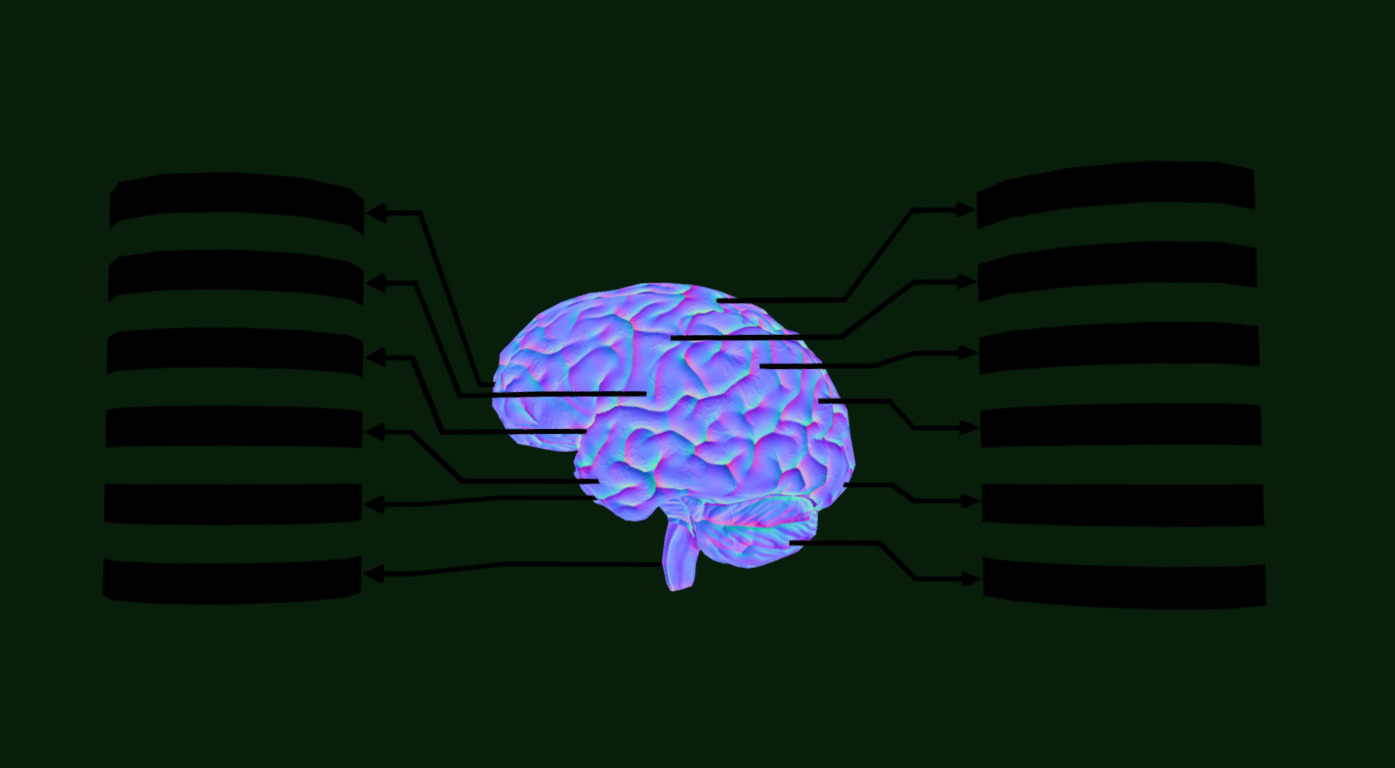 Brain - Labelled Diagram of Human Brain Low-poly 3D model_4