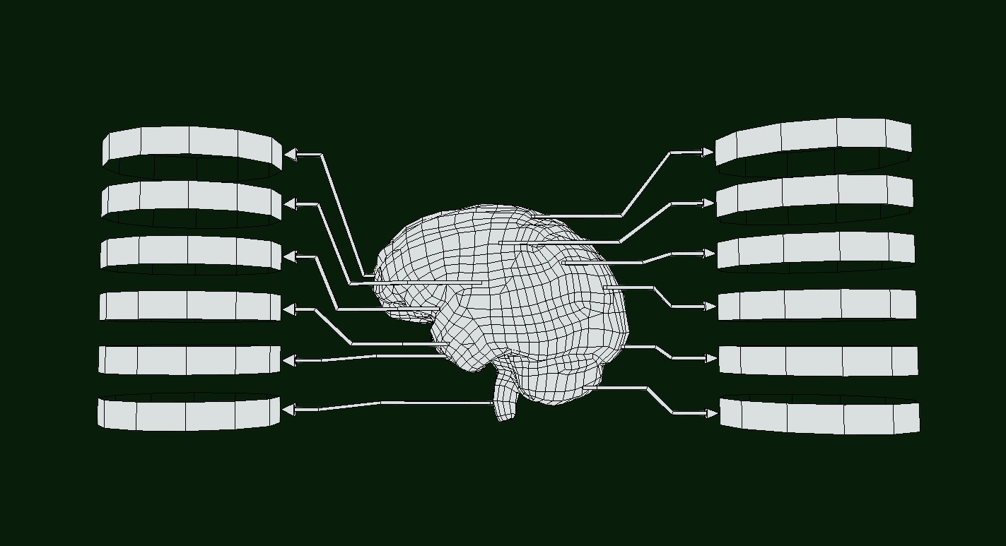 Brain - Labelled Diagram of Human Brain Low-poly 3D model_2