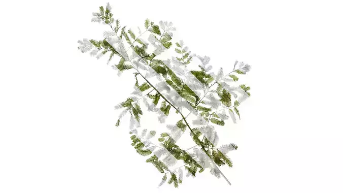 Anydrafts Metasequoia glyptostroboides Atlas 09