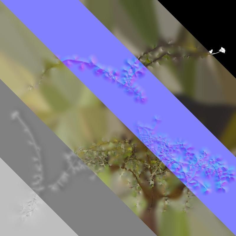 Anydrafts Helichrysum microphyllum Atlas 01 Texture_8