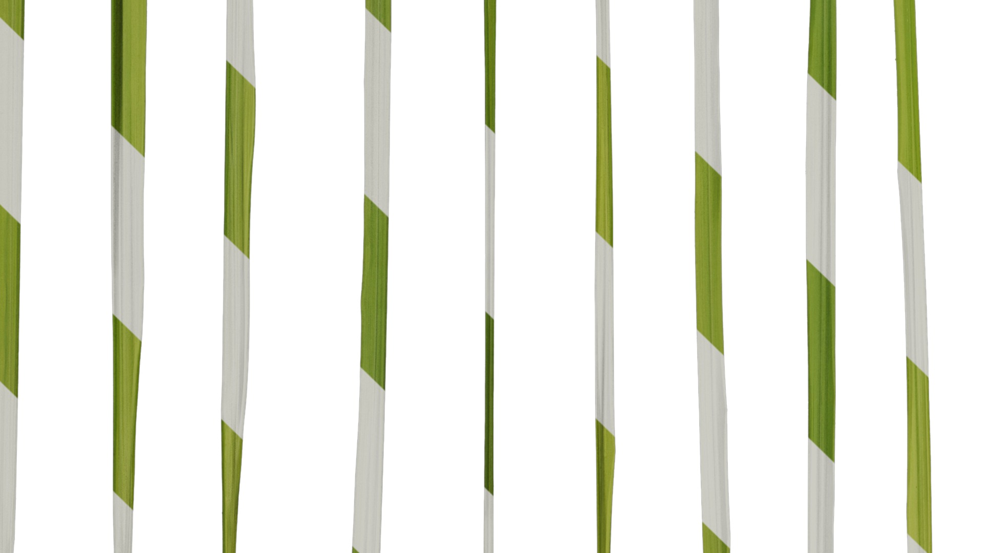 Anydrafts Imperata cylindrica Leaf 11 Texture_5