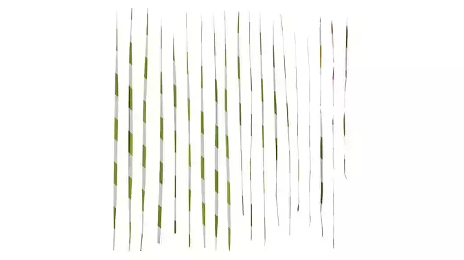 Anydrafts Imperata cylindrica Leaf 11