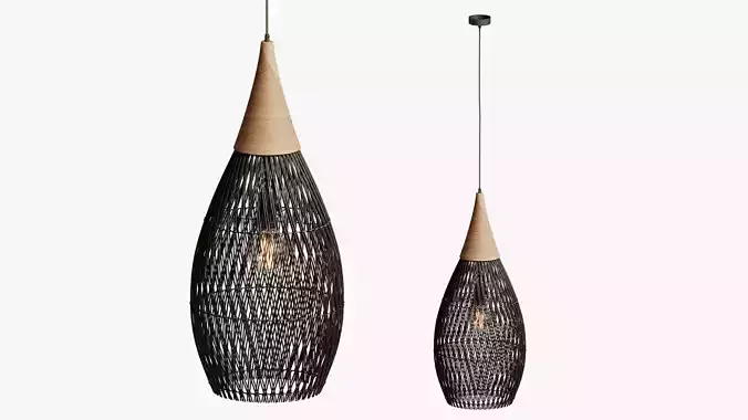 Horn Lamp Charcoal 3D model