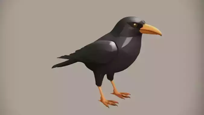 Black bird with sharp beak