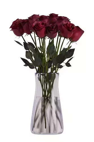 Classic Red Rose BOUQUET