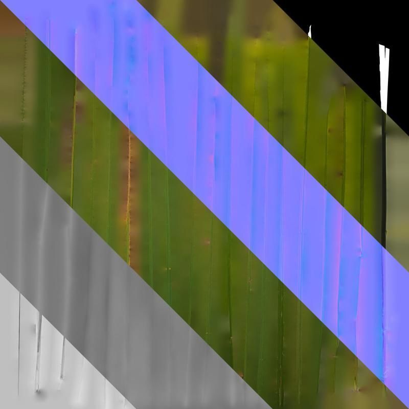 Anydrafts Pennisetum alopecuroides Leaf 02 Texture_8