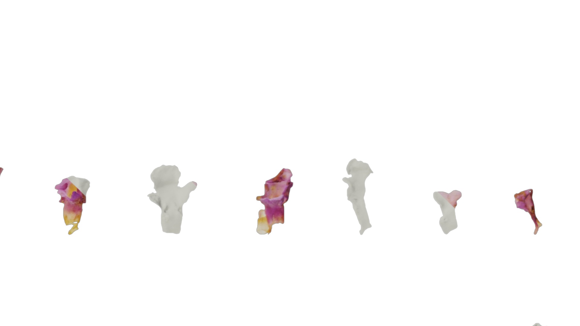 Anydrafts Phyla canescens Flower 01 Texture_4