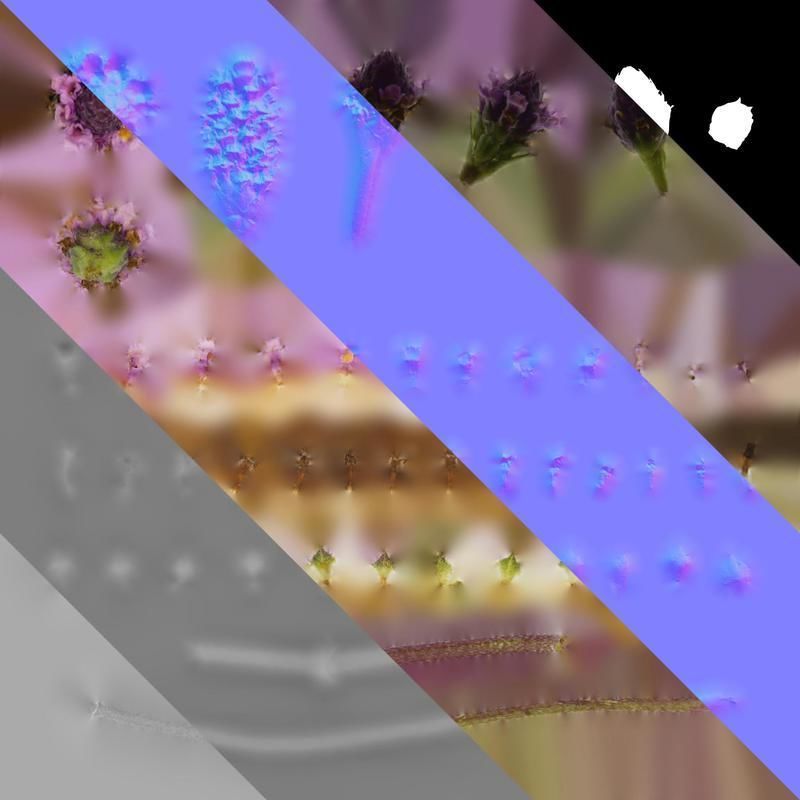 Anydrafts Phyla canescens Flower 01 Texture_8