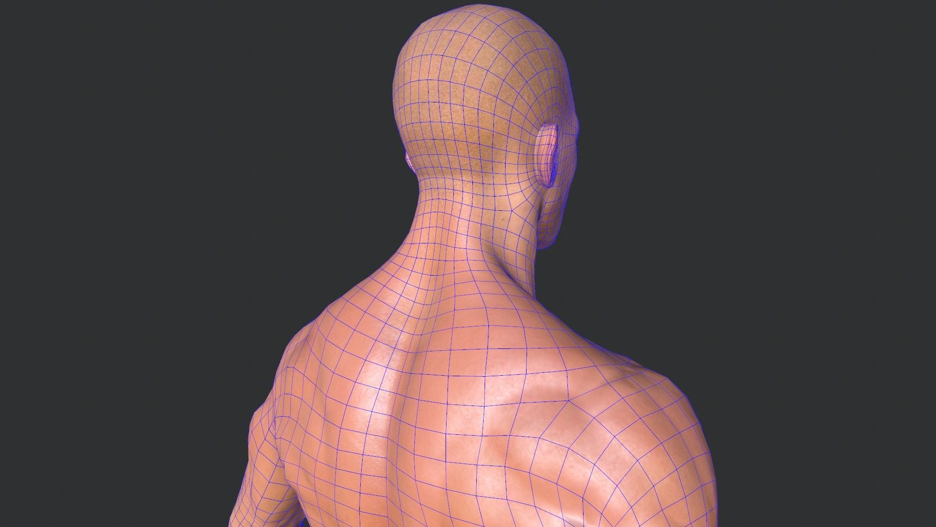 Man Body Low-poly 3D model_19