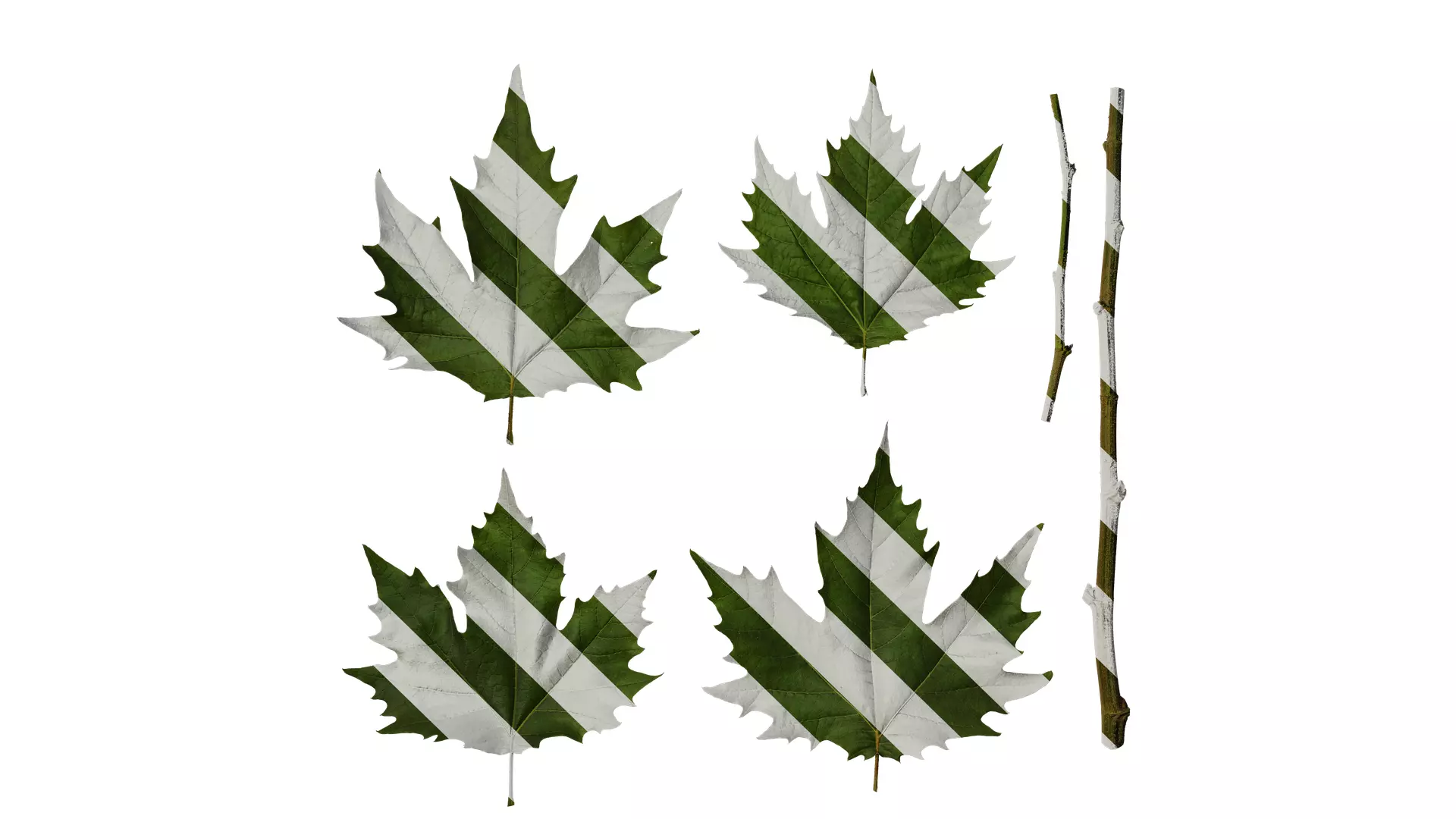 Anydrafts Platanus orientalis Leaf 10 Texture