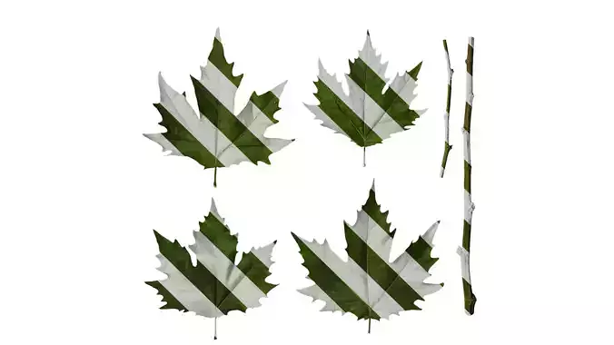 Anydrafts Platanus orientalis Leaf 10