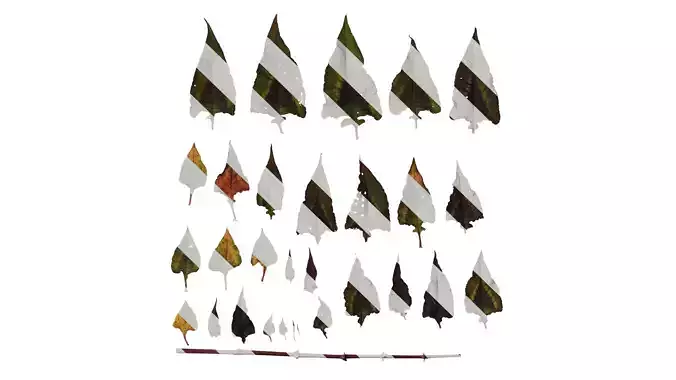 Anydrafts Polygonum microcephalum Leaf 01 Texture