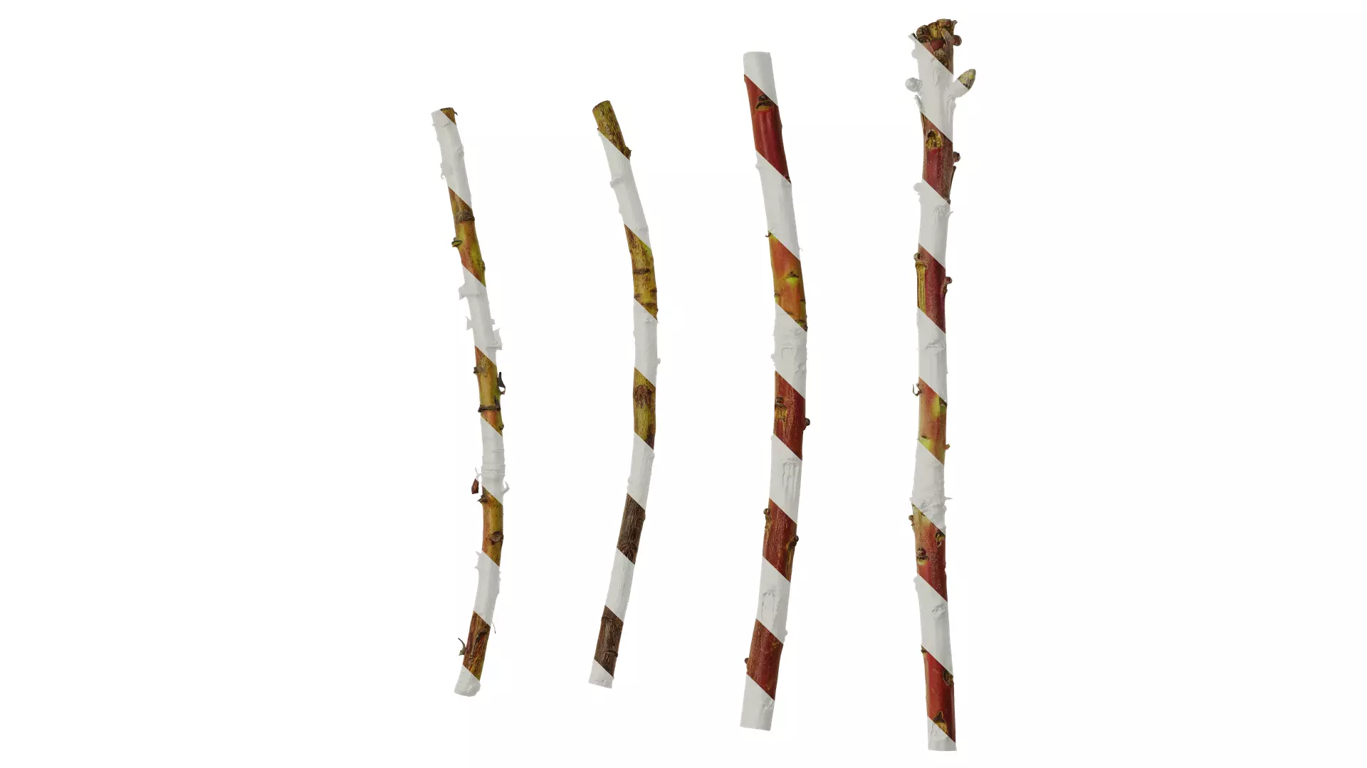 Anydrafts Protea cynaroides Stem 01 Texture_0