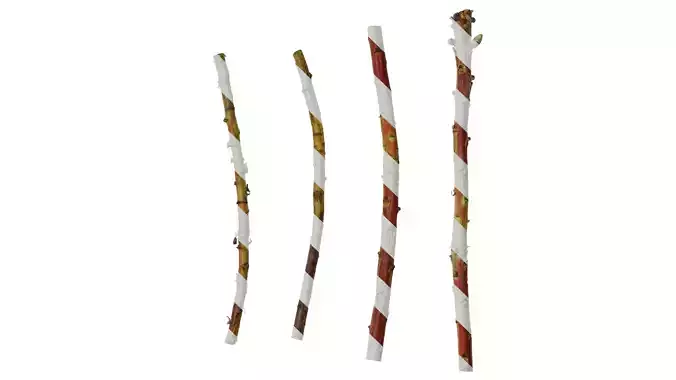 Anydrafts Protea cynaroides Stem 01