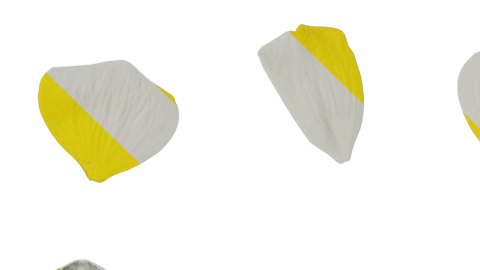 Anydrafts Ranunculus repens Flower 01 Texture_3