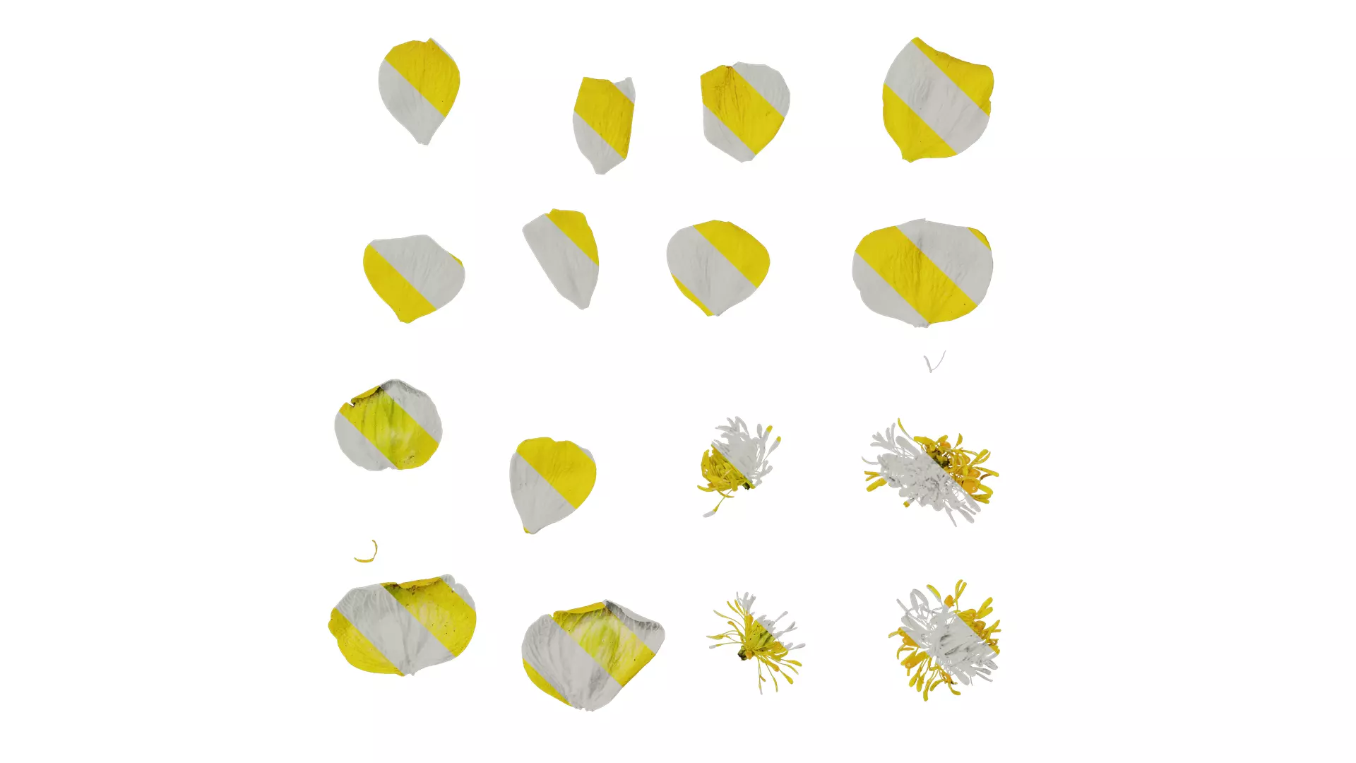 Anydrafts Ranunculus repens Flower 01 Texture_0