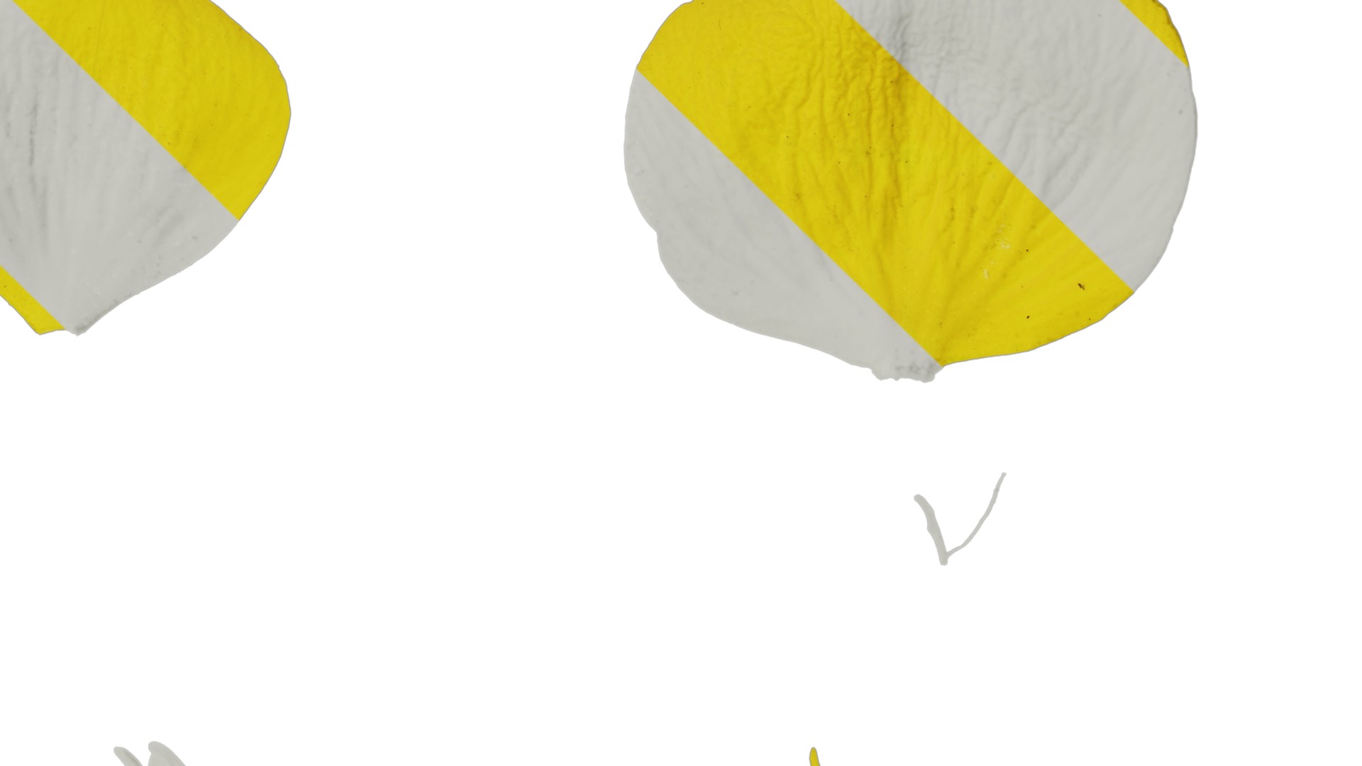 Anydrafts Ranunculus repens Flower 01 Texture_4