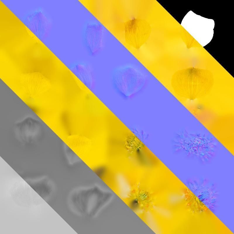 Anydrafts Ranunculus repens Flower 01 Texture_8