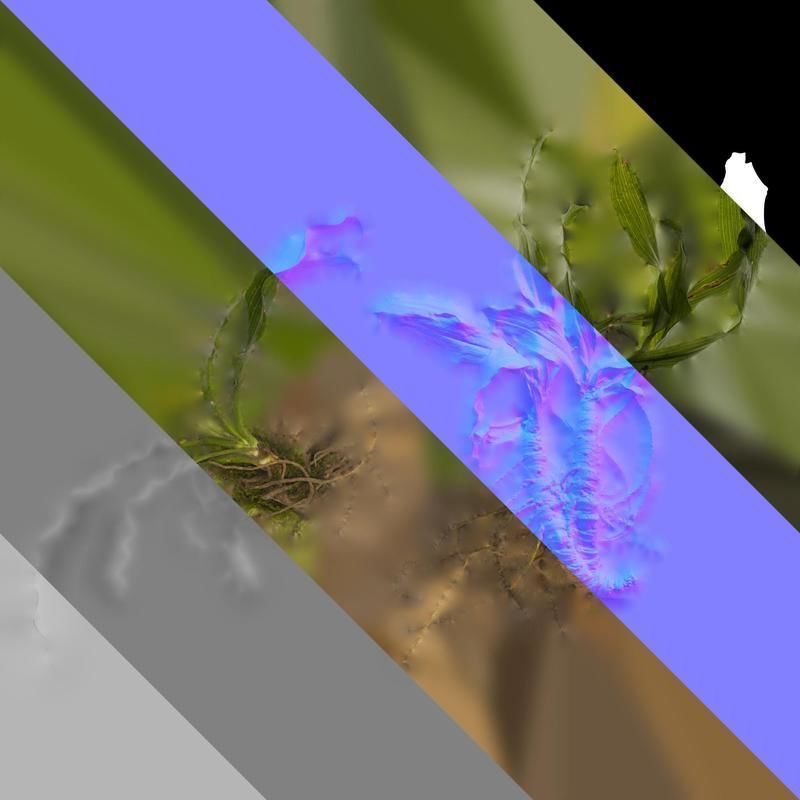 Anydrafts Rohdea japonica Atlas 01 Texture_8