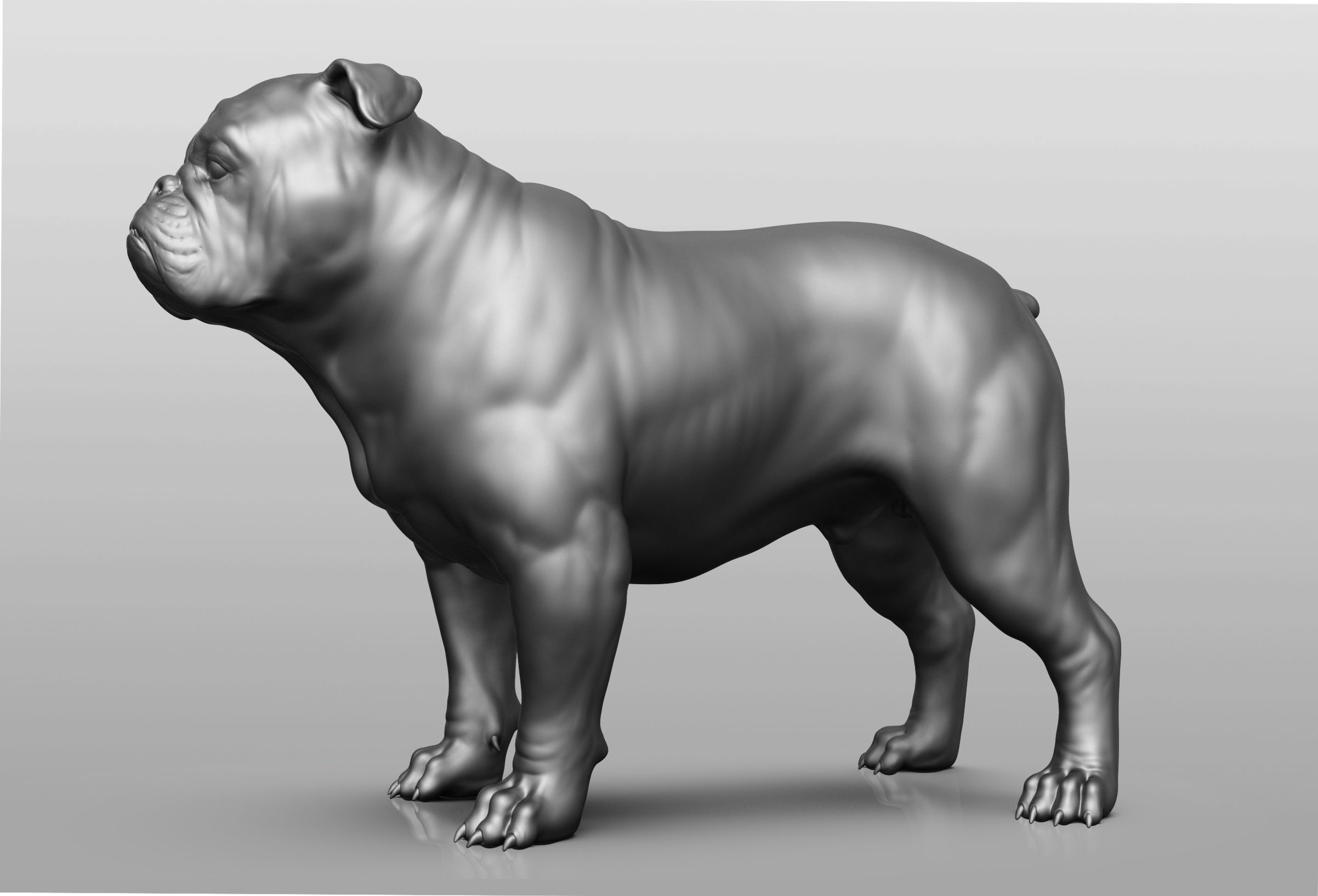 Dog breed collection  8 types of dogs 3D model_2