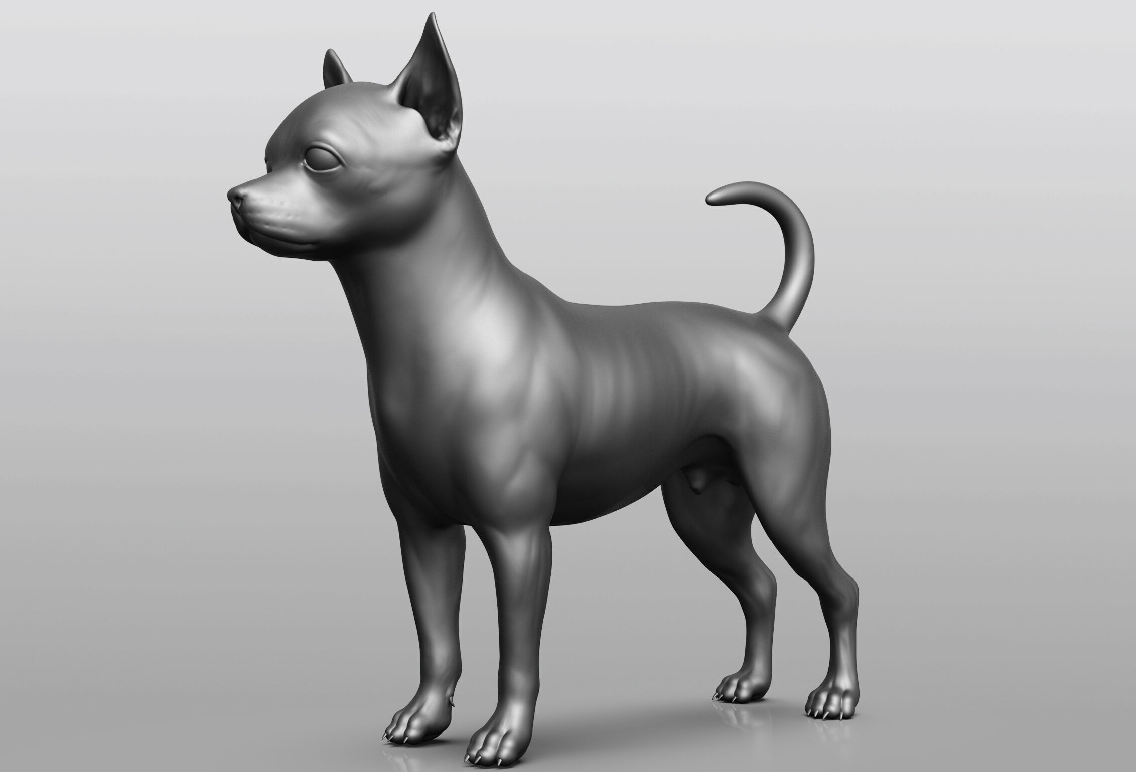 Dog breed collection  8 types of dogs 3D model_68