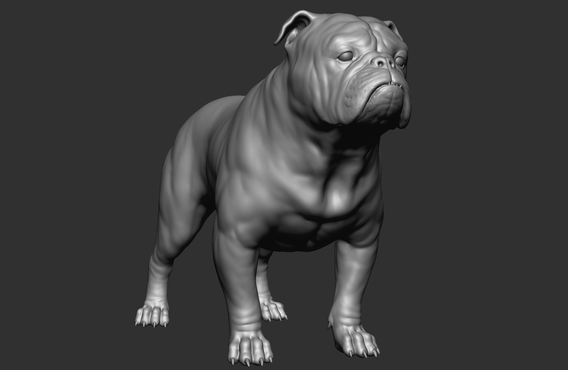 Dog breed collection  8 types of dogs 3D model_9