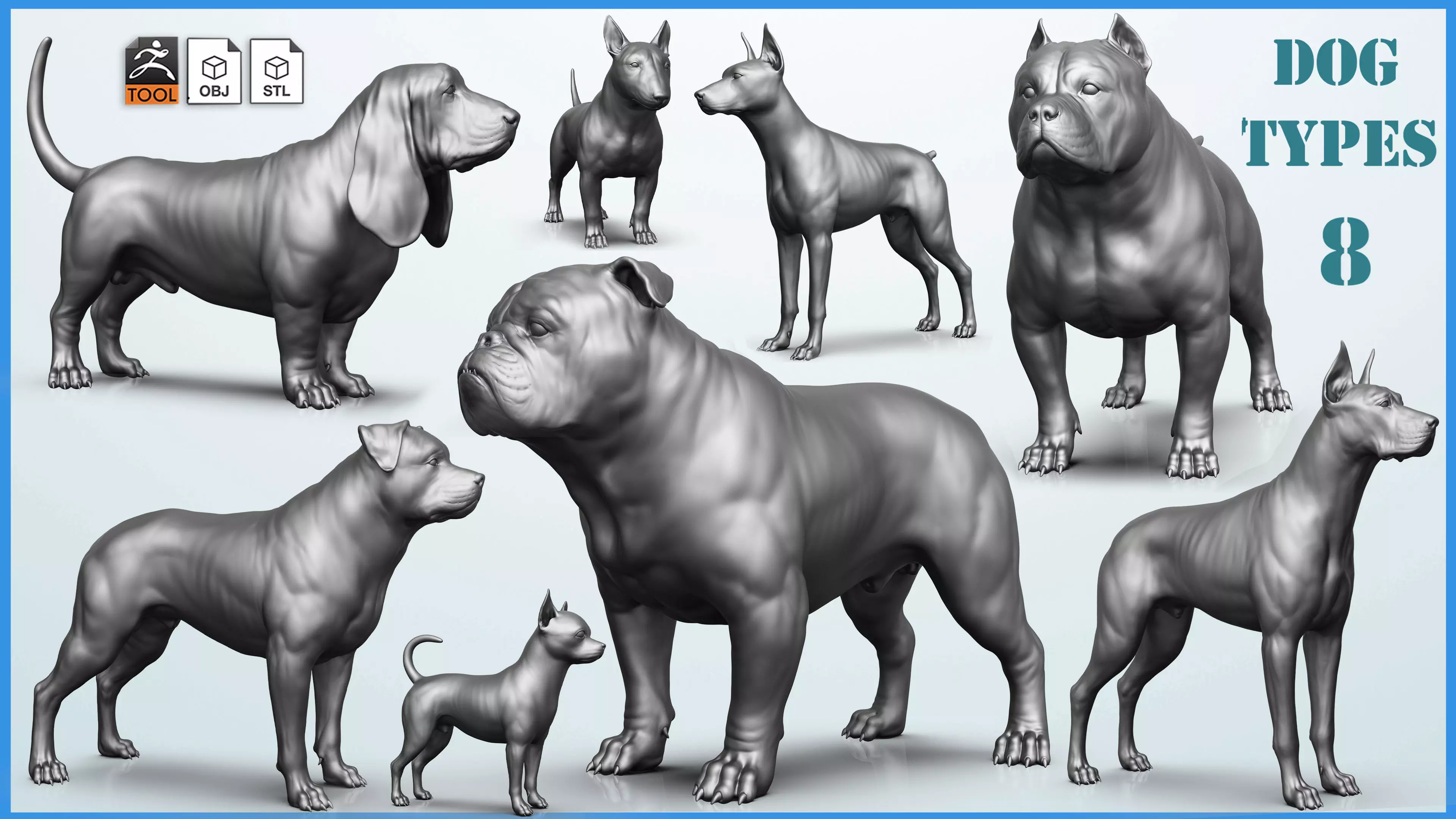 Dog breed collection  8 types of dogs 3D model_0