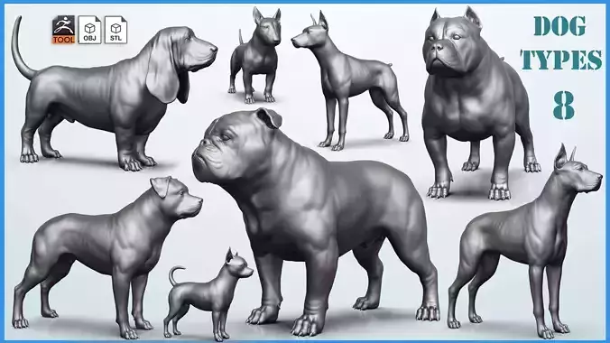 Dog breed collection  8 types of dogs 3D model